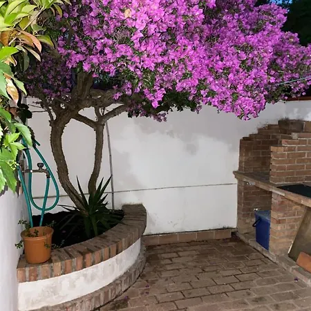 Terrazzo Sul Mare *
